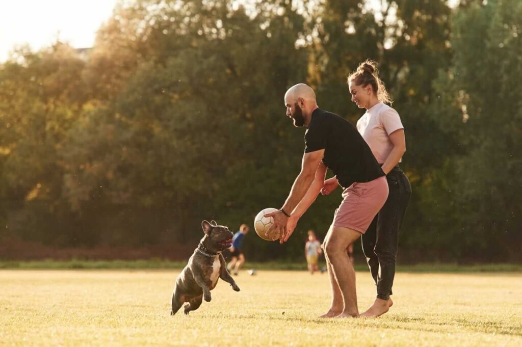 Importanza del gioco nel rapporto tra cane e proprietario